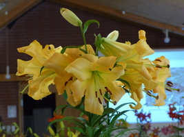 Foto: Dr. Peter Müller